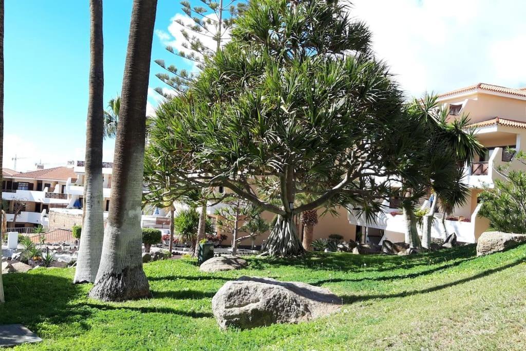 Apartment With Pool And Gardens Near The Coast San Miguel de Abona Esterno foto