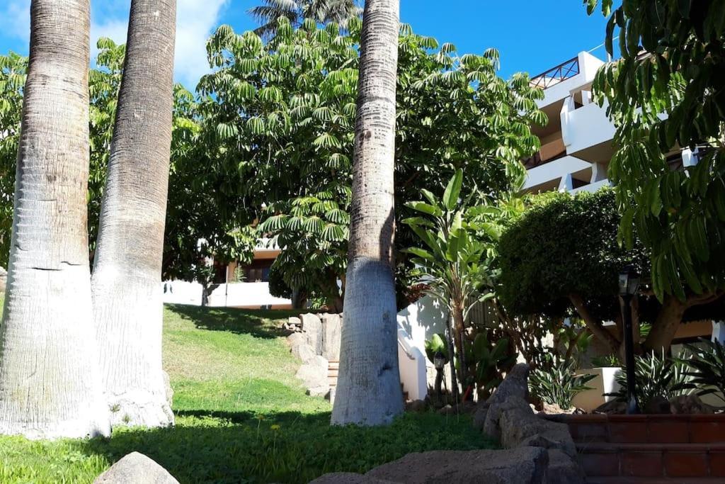 Apartment With Pool And Gardens Near The Coast San Miguel de Abona Esterno foto